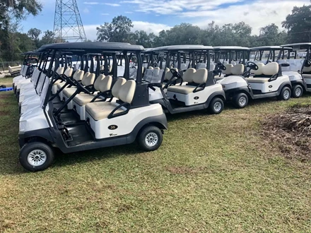 Custom Golf Carts