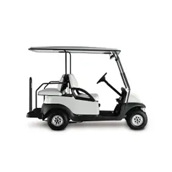 4-passenger golf cart rental option