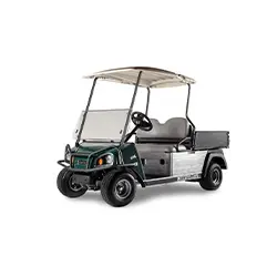 Utility golf cart with cargo bed