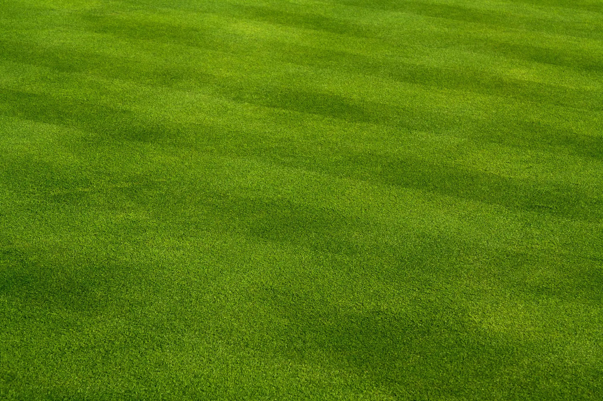 Golf Course Background