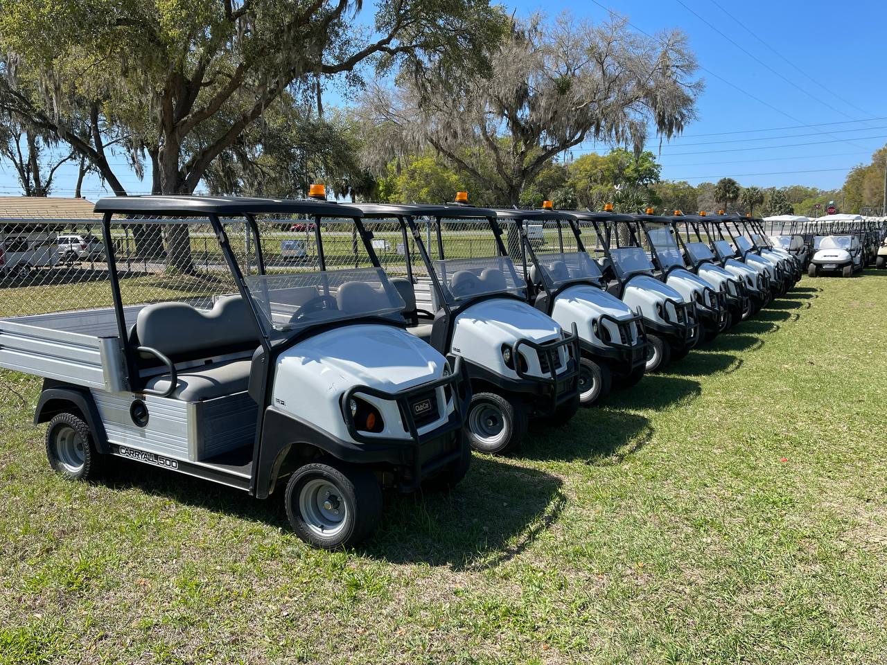 Golf cart fleets