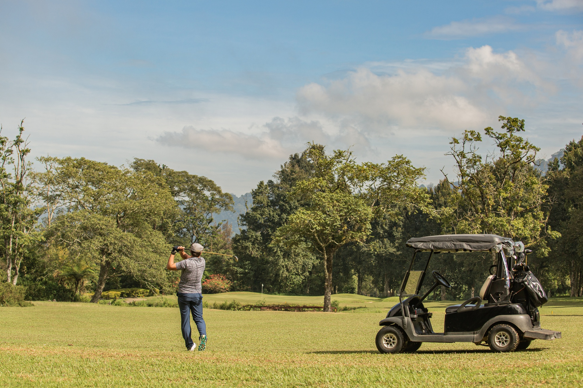 Golf Cart Ownership